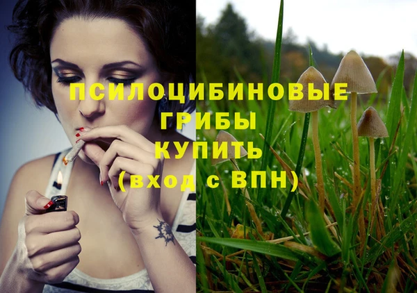 винт Зеленодольск