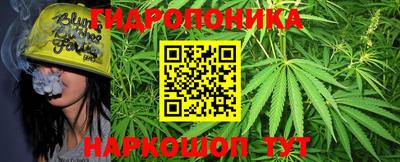ПСИЛОЦИБИНОВЫЕ ГРИБЫ Кандалакша