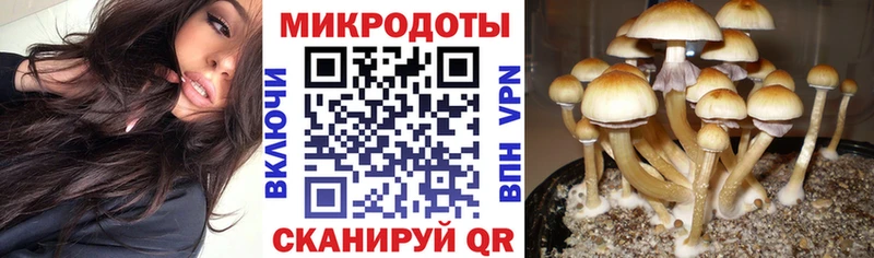 Галлюциногенные грибы ЛСД МЕГА Калач-на-Дону дарнет шоп